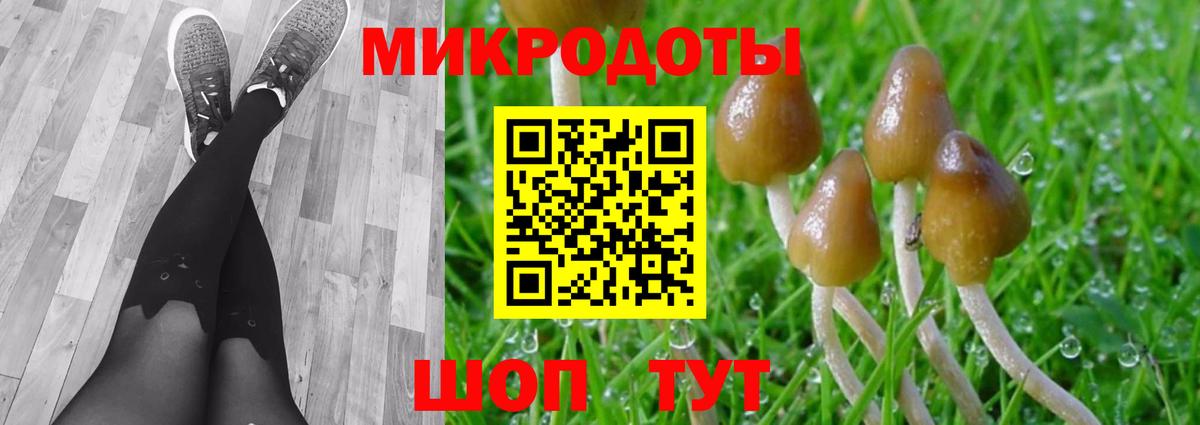 Галлюциногенные грибы GOLDEN TEACHER Конаково