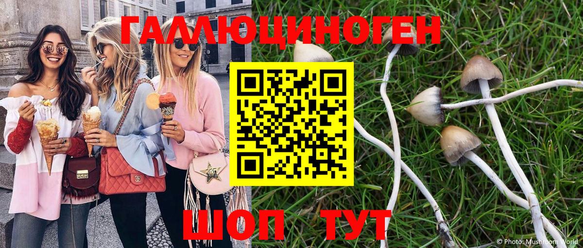 Псилоцибиновые грибы Psilocybe  Вход с VPN  Галлюциногенные грибы ЛСД  наркота  Конаково 